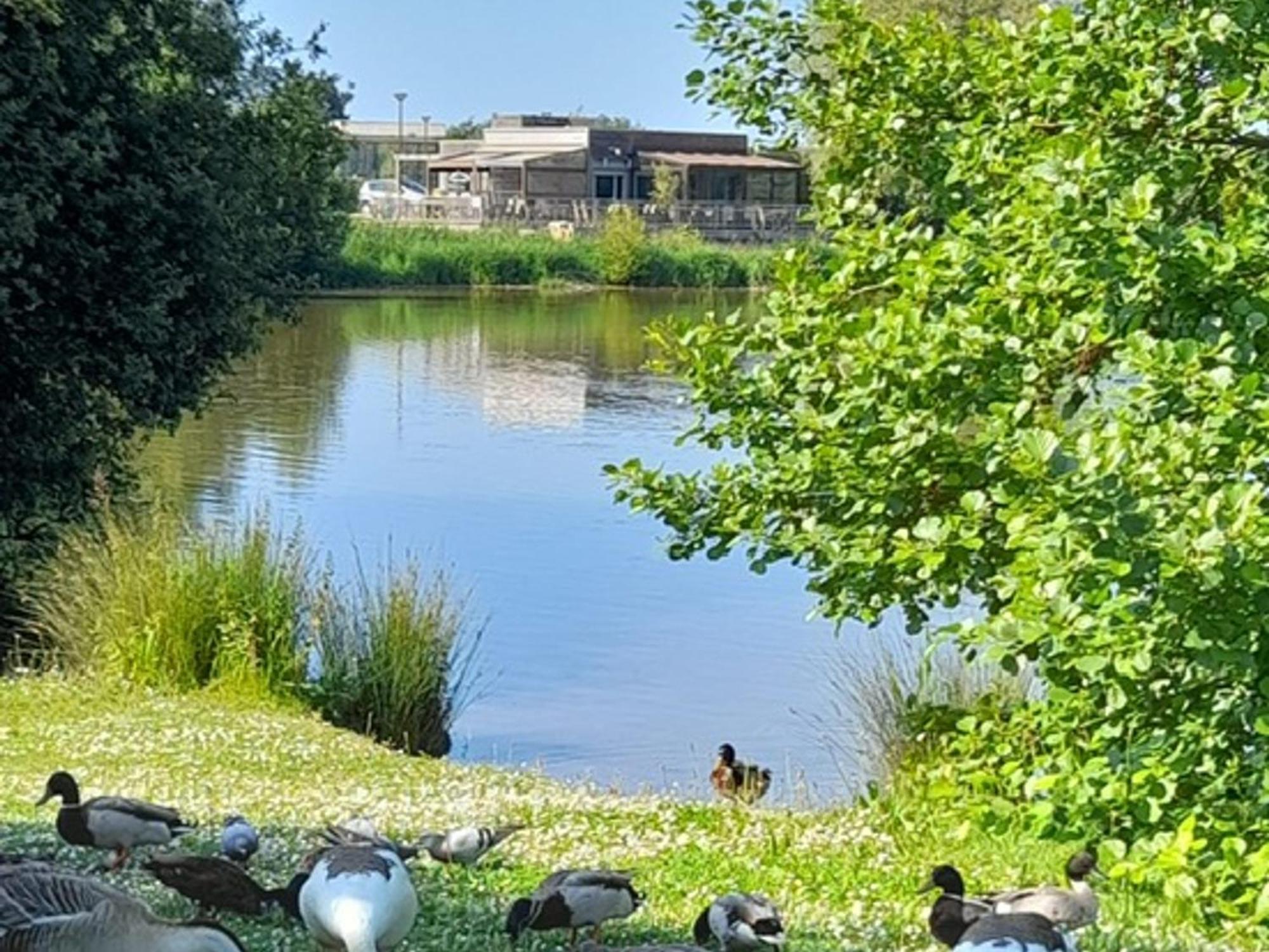 Appartement Refait A Neuf Avec Loggia Et Parking, A 2 Pas De La Plage Et Des Commerces - Fr-1-712-7 Villers-sur-Mer Esterno foto
